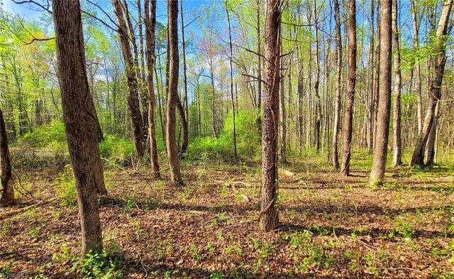 5091 Donna Marie Court, Walkertown, NC 27051