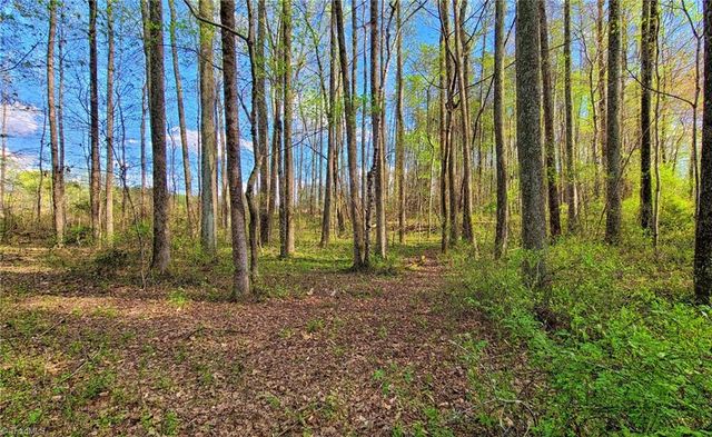 5091 Donna Marie Court, Walkertown, NC 27051