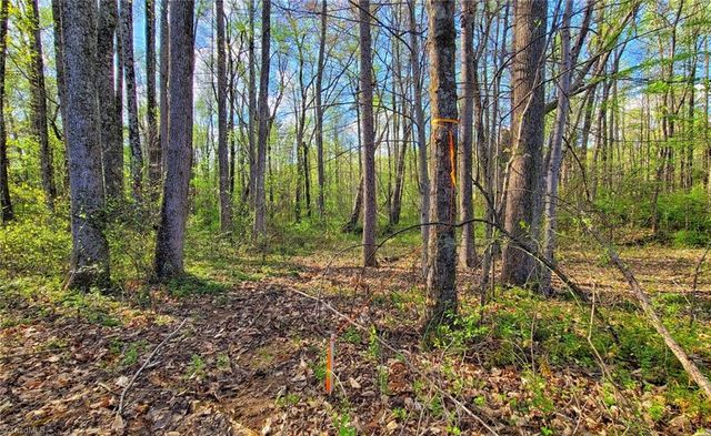 5091 Donna Marie Court, Walkertown, NC 27051