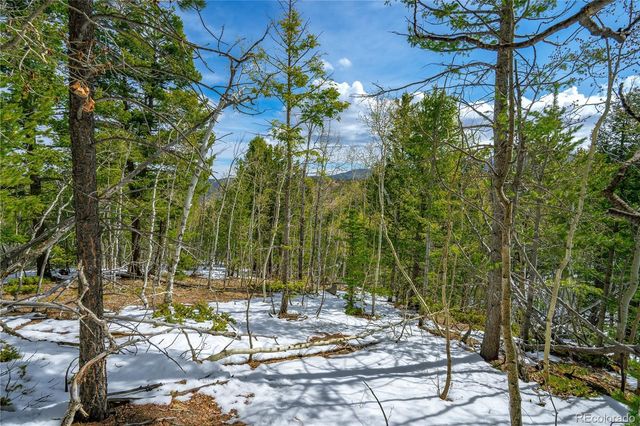 192 Deadwood Road, Cripple Creek, CO 80813