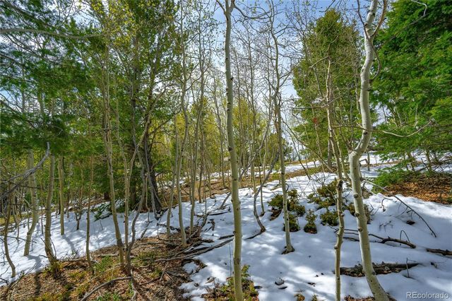 192 Deadwood Road, Cripple Creek, CO 80813