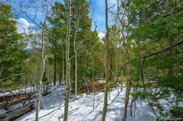 192 Deadwood Road, Cripple Creek, CO 80813