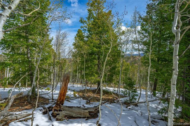 192 Deadwood Road, Cripple Creek, CO 80813