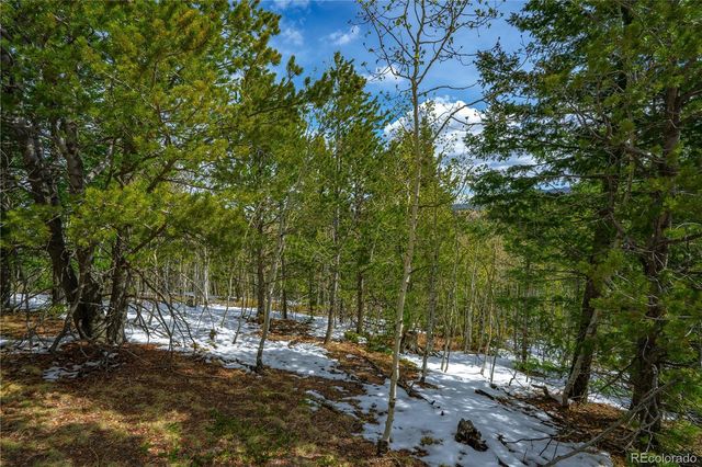 192 Deadwood Road, Cripple Creek, CO 80813
