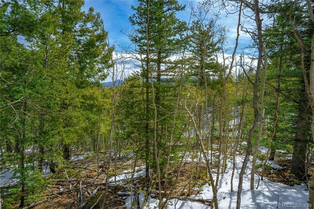 192 Deadwood Road, Cripple Creek, CO 80813