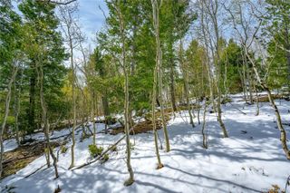 192 Deadwood Road, Cripple Creek, CO 80813
