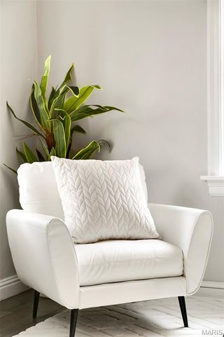 435 N Clay Avenue, Ferguson, MO 63135