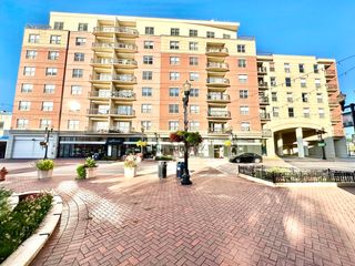 50 S Grove Avenue D, Elgin, IL 60120