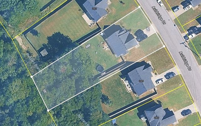 2415 Auldridge Dr, Christiana, TN 37037