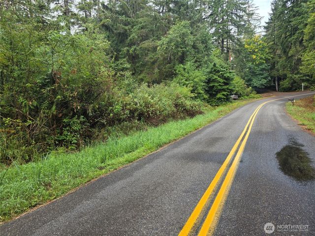 1581 E PHILLIPS LAKE LOOP Road, Shelton, WA 98584