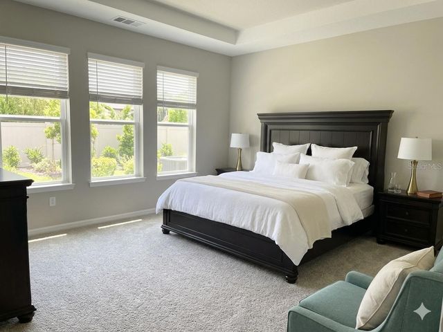 10569 TRANQUIL MEADOW LOOP, Riverview, FL 33569