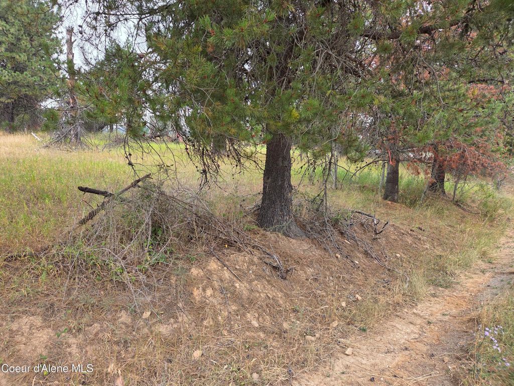 Lot 2B Upper Drive, Osburn, ID 83849 photo 10