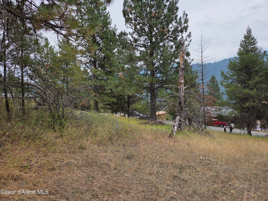 Lot 2B Upper Drive, Osburn, ID 83849 photo 13