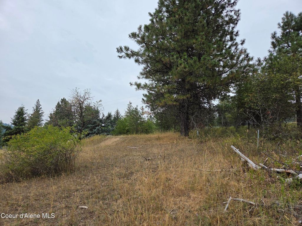 Lot 2B Upper Drive, Osburn, ID 83849 photo 14