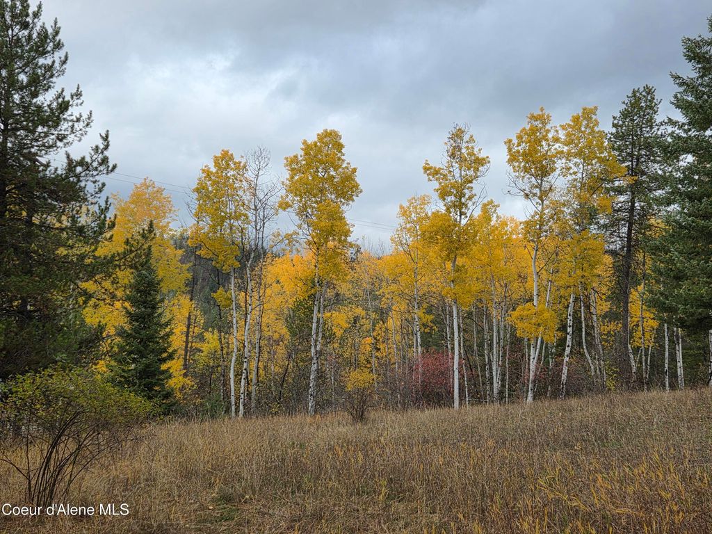 Lot 2B Upper Drive, Osburn, ID 83849 photo 4