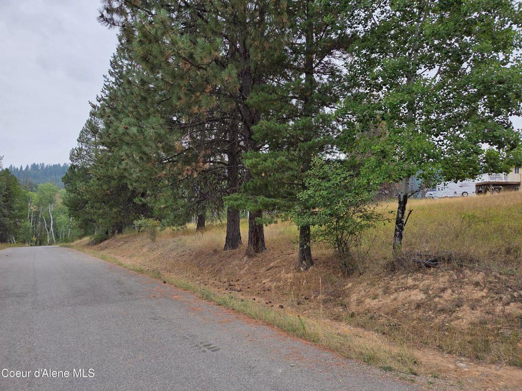 Lot 2B Upper Drive, Osburn, ID 83849 photo 6
