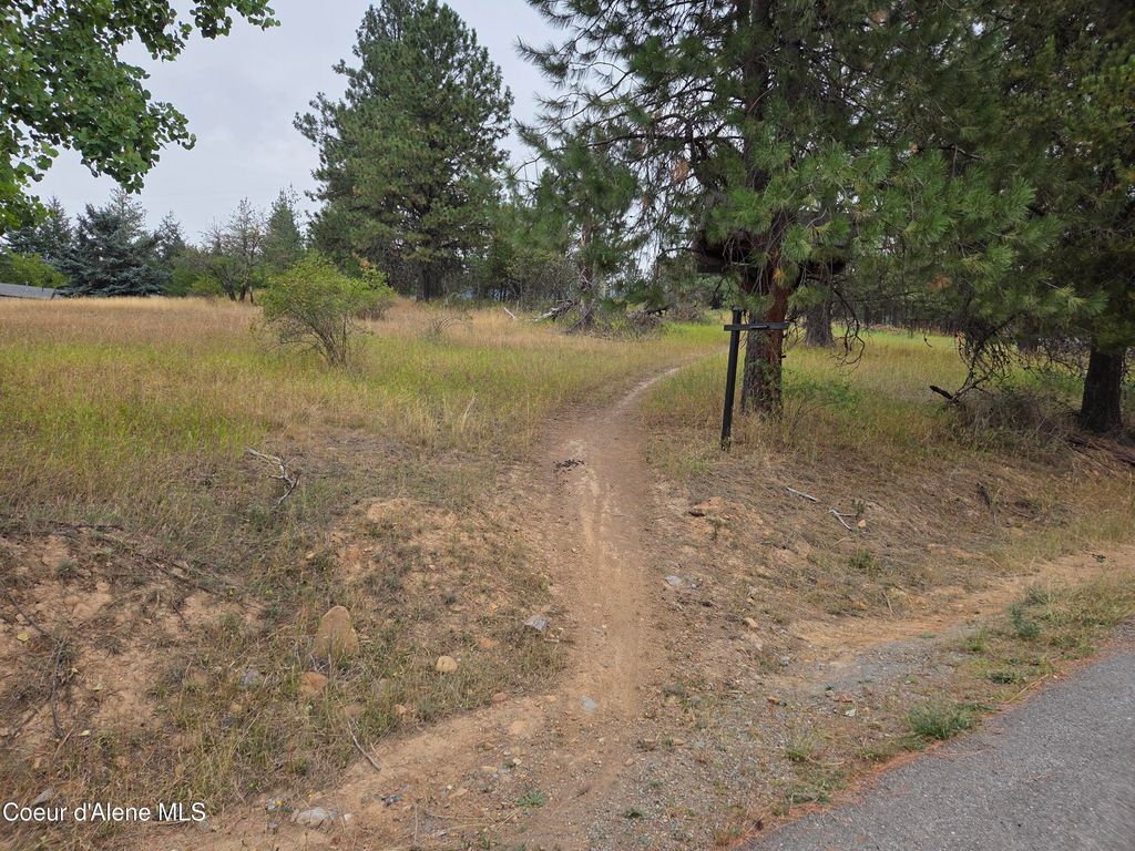 Lot 2B Upper Drive, Osburn, ID 83849 photo 9