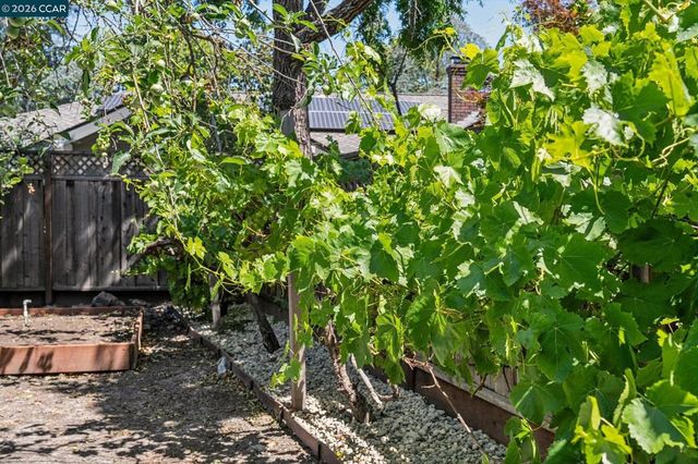 137 Megan Ct., Alamo, CA 94507
