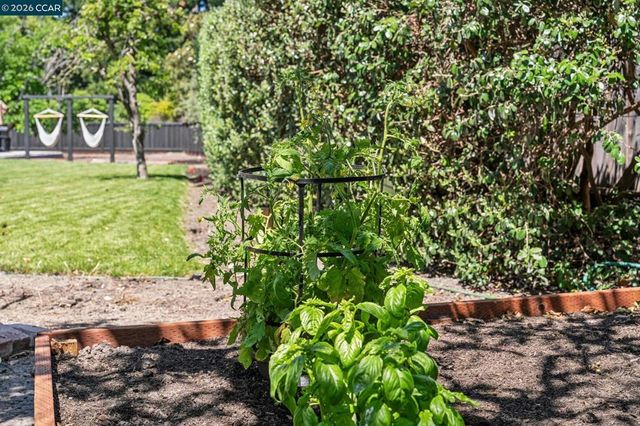 137 Megan Ct., Alamo, CA 94507
