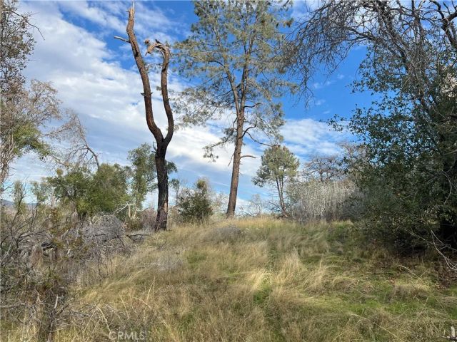 4934 Guadalupe Fire, Catheys Valley, CA 95306