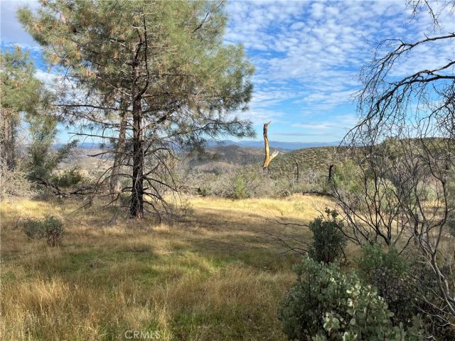 4934 Guadalupe Fire, Catheys Valley, CA 95306