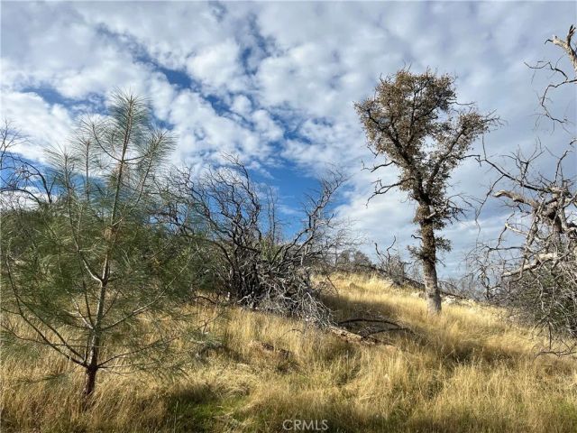 4934 Guadalupe Fire, Catheys Valley, CA 95306