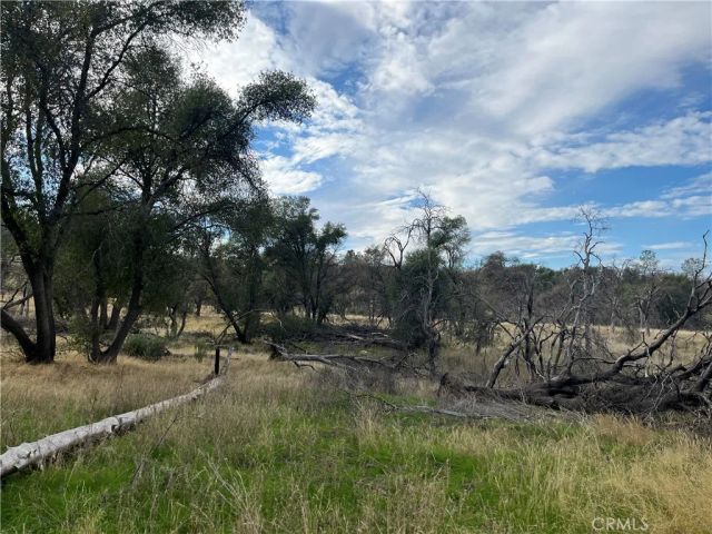 4934 Guadalupe Fire, Catheys Valley, CA 95306