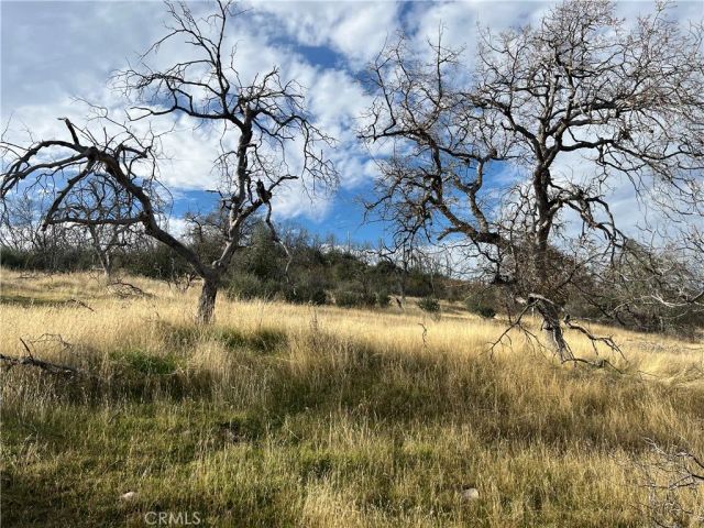 4934 Guadalupe Fire, Catheys Valley, CA 95306