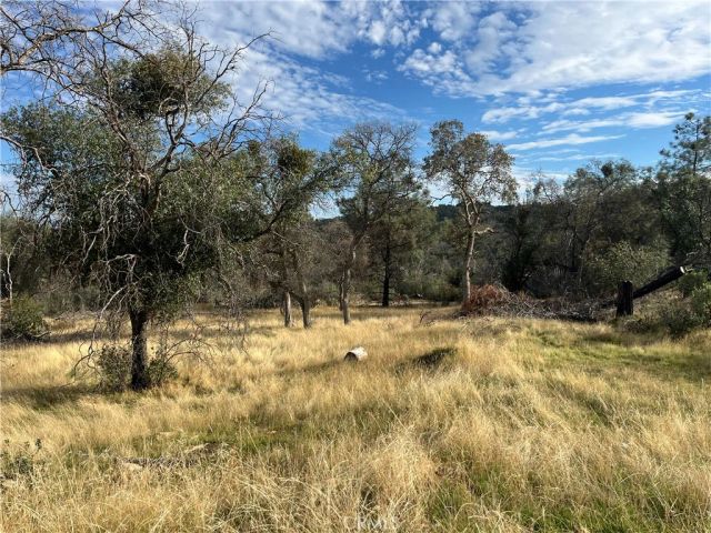 4934 Guadalupe Fire, Catheys Valley, CA 95306