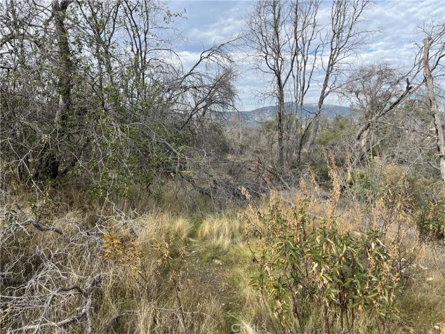 4934 Guadalupe Fire, Catheys Valley, CA 95306