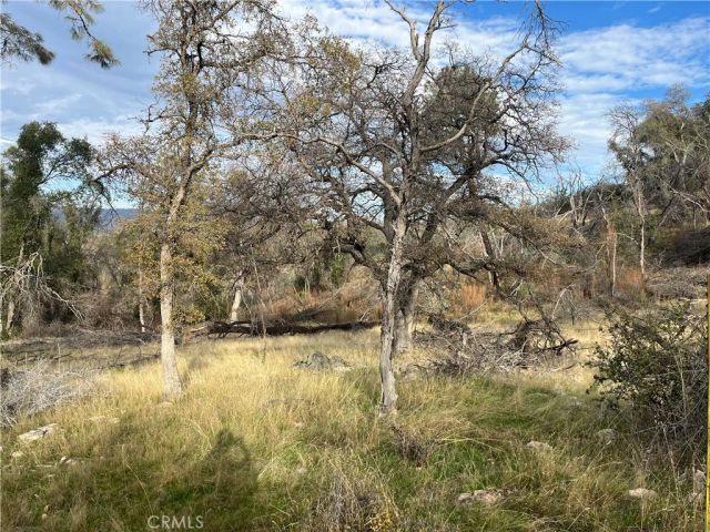 4934 Guadalupe Fire, Catheys Valley, CA 95306