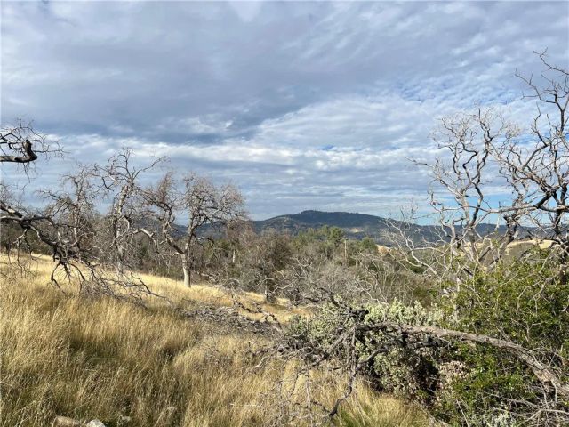 4934 Guadalupe Fire, Catheys Valley, CA 95306