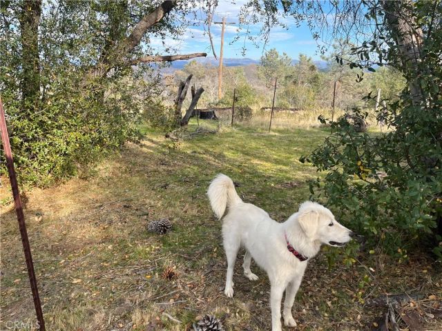 4934 Guadalupe Fire, Catheys Valley, CA 95306