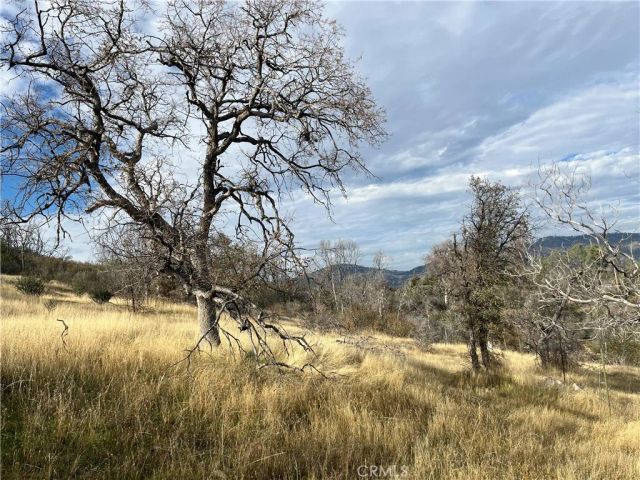 4934 Guadalupe Fire, Catheys Valley, CA 95306
