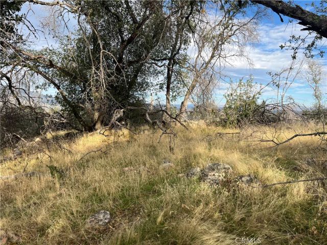 4934 Guadalupe Fire, Catheys Valley, CA 95306