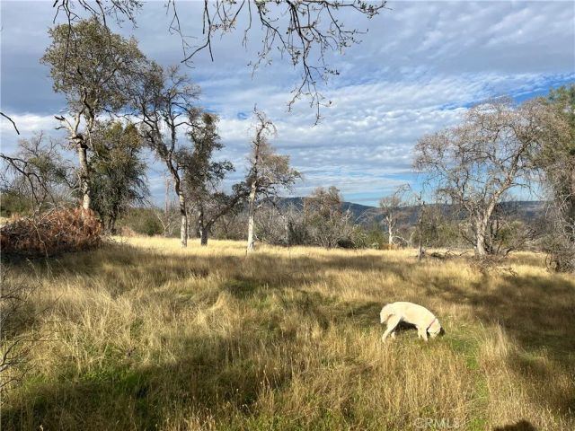 4934 Guadalupe Fire, Catheys Valley, CA 95306