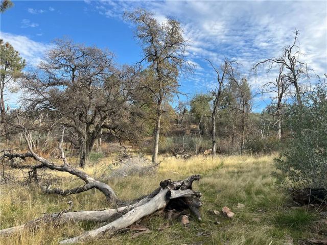4934 Guadalupe Fire, Catheys Valley, CA 95306