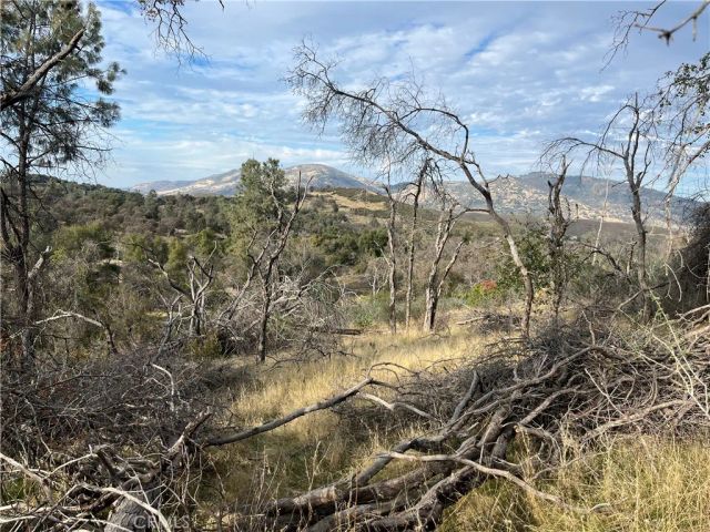 4934 Guadalupe Fire, Catheys Valley, CA 95306
