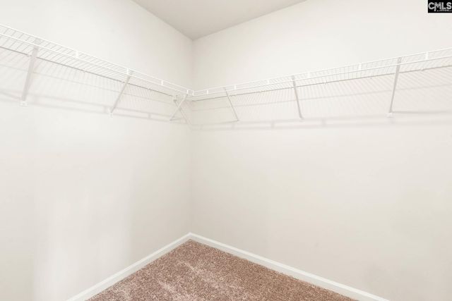 1695 Hidden Garden Lane, Gilbert, SC 29054