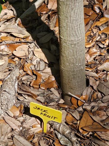 2303 45TH STREET E, Bradenton, FL 34208