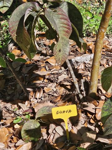 2303 45TH STREET E, Bradenton, FL 34208