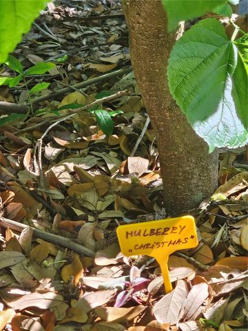 2303 45TH STREET E, Bradenton, FL 34208