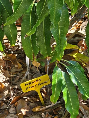 2303 45TH STREET E, Bradenton, FL 34208