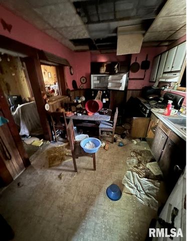 471 E 1ST Street, Galesburg, IL 61401