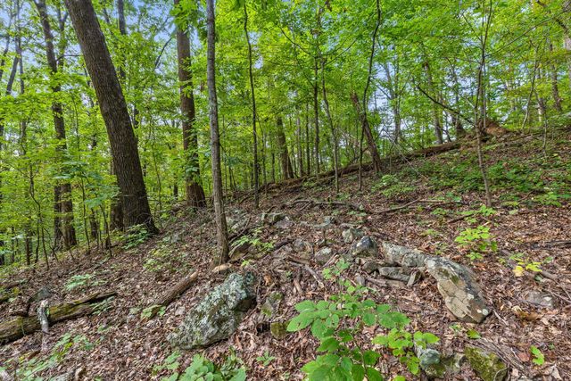 2255 Nickajack Road, Flintstone, GA 30725