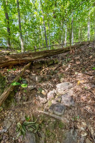 2255 Nickajack Road, Flintstone, GA 30725