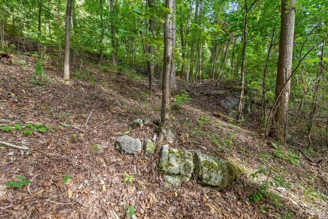 2255 Nickajack Road, Flintstone, GA 30725