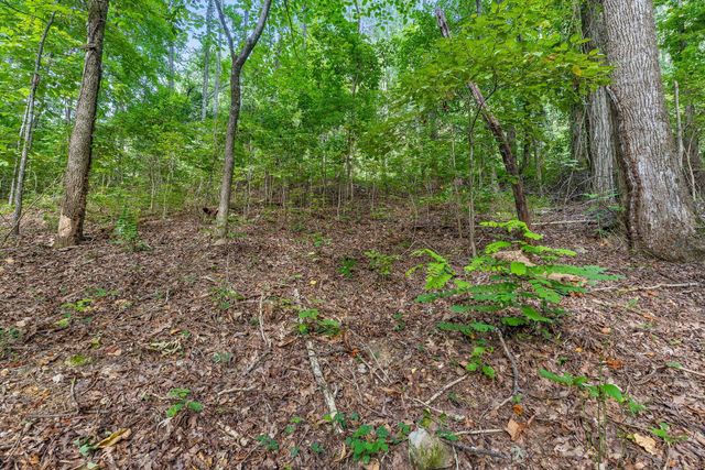 2255 Nickajack Road, Flintstone, GA 30725