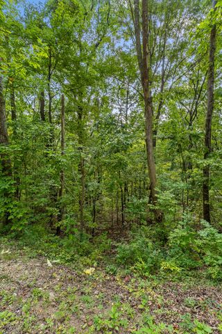 2255 Nickajack Road, Flintstone, GA 30725