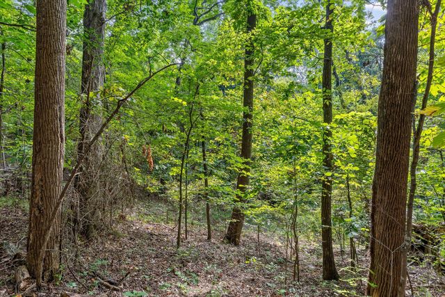2255 Nickajack Road, Flintstone, GA 30725